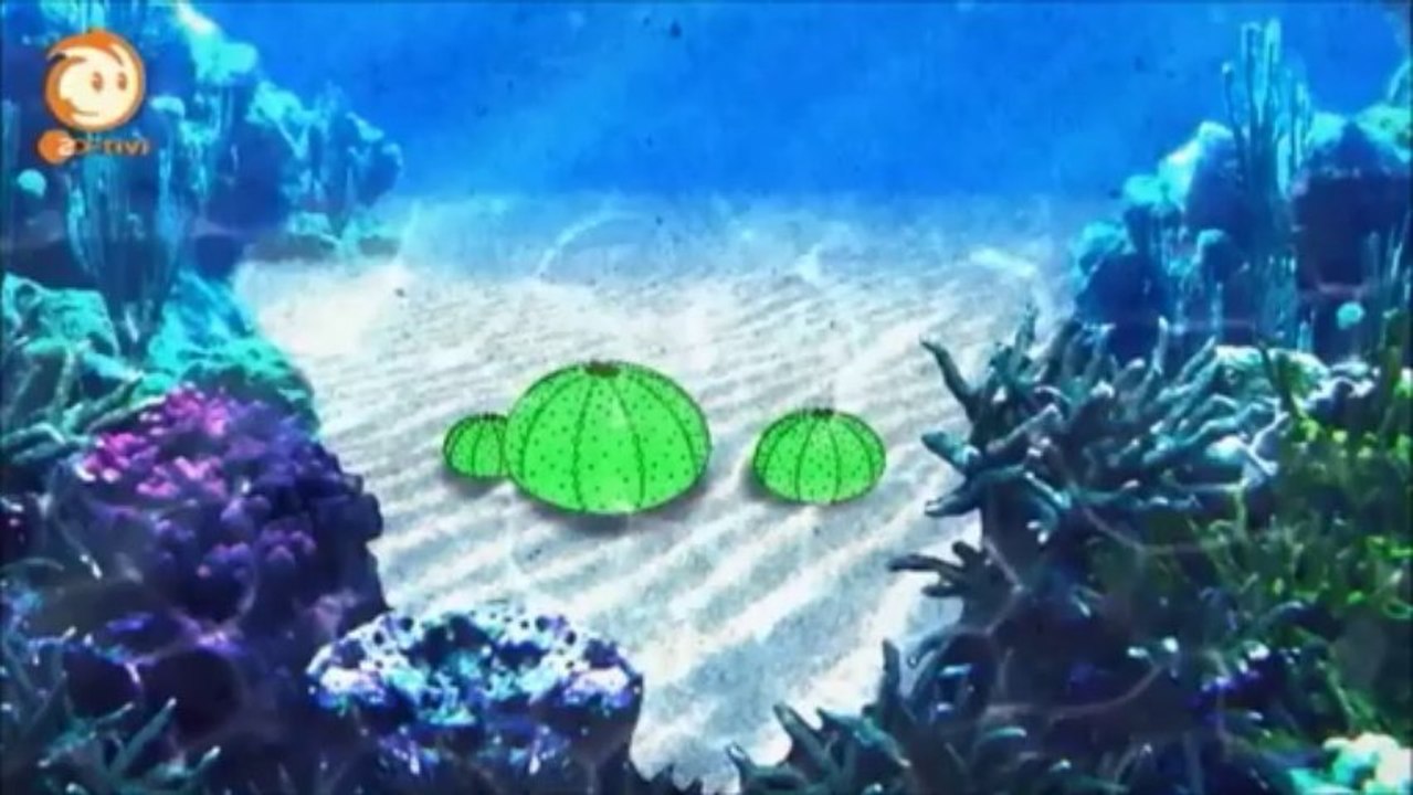 Löwenzahn - 269 (69) Skelett - Knochenbruch beim Pokalspiel