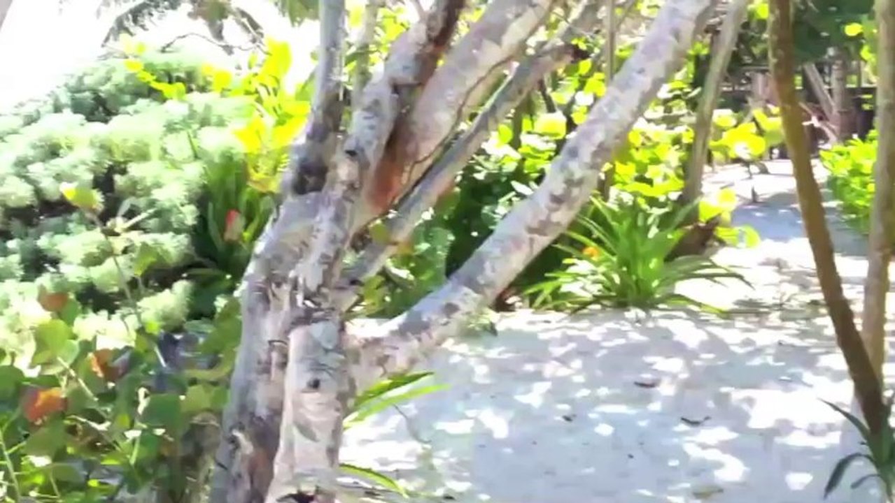 Sanara - Tulum Beach eco retreat hotel