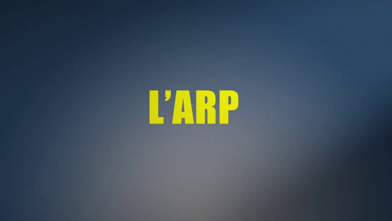 RCD-2013 - A-t-on le droit de parler de transparence et de rentabilité dans la Cinéma ?