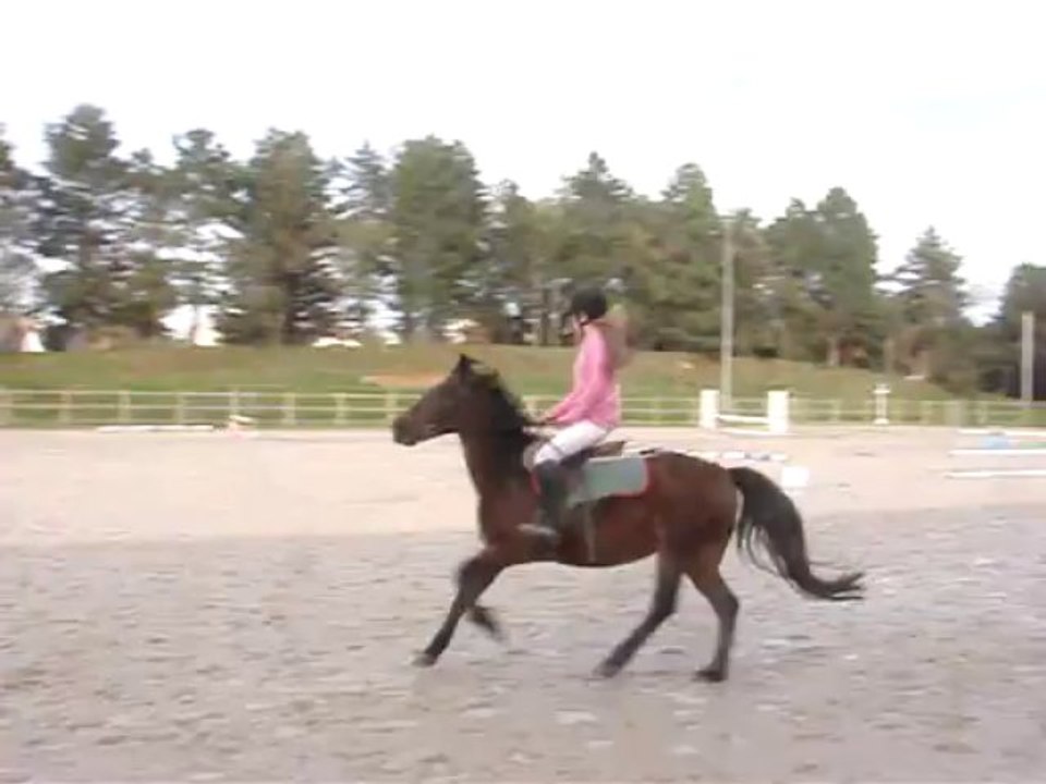 challenge cso vitré novembre Justine et Iola 1