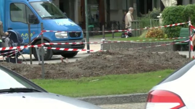 LES PROMENADES DE MICHOU W-D.D. - 1er NOVEMBRE 2013 : PASSER UN DIMANCHE A.P.M. A PAU.