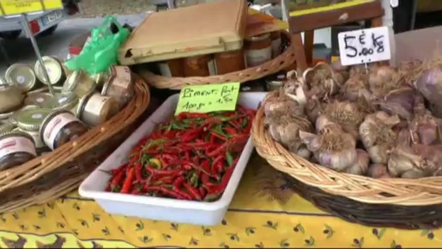 LES W-D.D. MICHOU NEWS - 1er NOVEMBRE 2013 : CONCOURS D'ATTELAGE - LE VILLAGE.