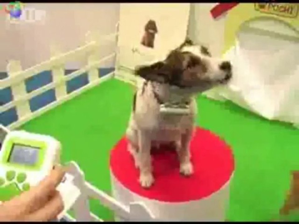 Dog Translator - JapanRetailNews