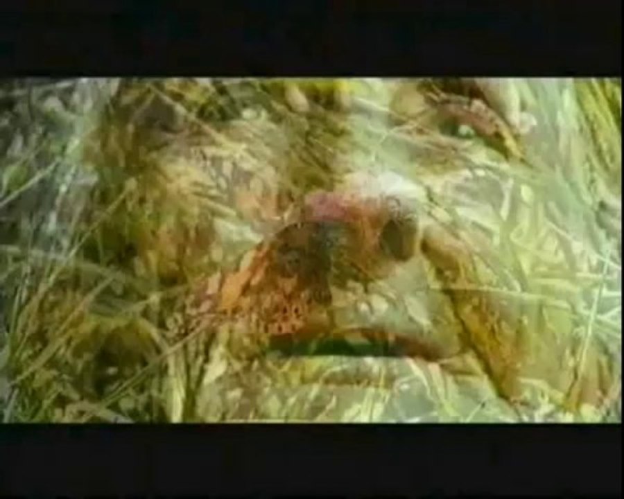 Haluk Çetin Ataol Behramoğlu - Aşk iki kişiliktir