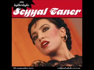 Seyyal Taner - Şiirimin DiLi