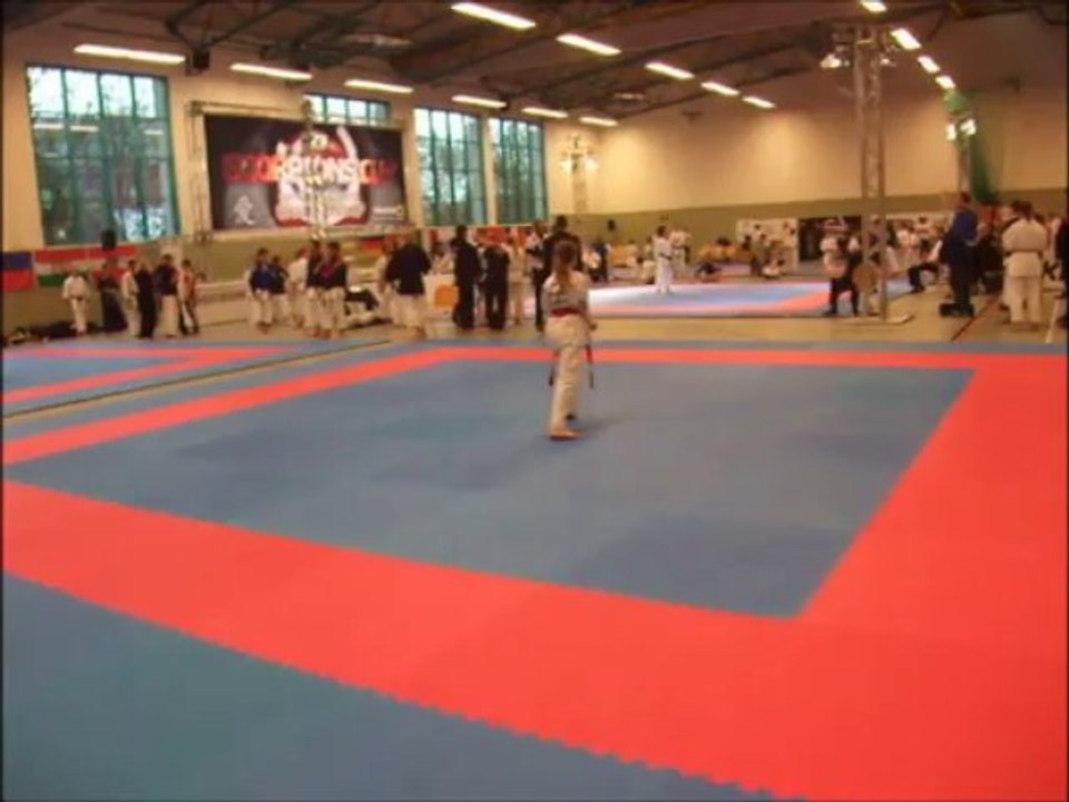 Scorpionscup 2013 taekwondo