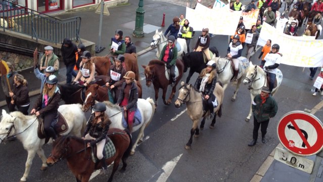 Manifestation des centres équestres