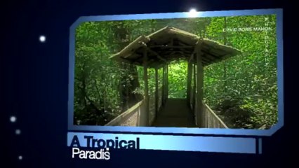 DAVID BORIS MAHON PHOTOGRAPY IMAGES OF COSTA RICA