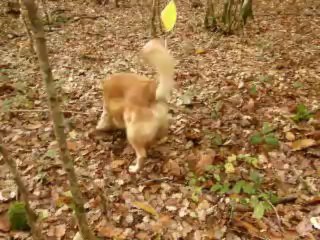 filou zone 3 cherche 2