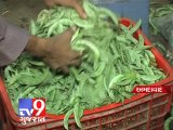 Ahmedabad - Soaring price of vegetables raising finger on APMC market - Tv9 Gujarat