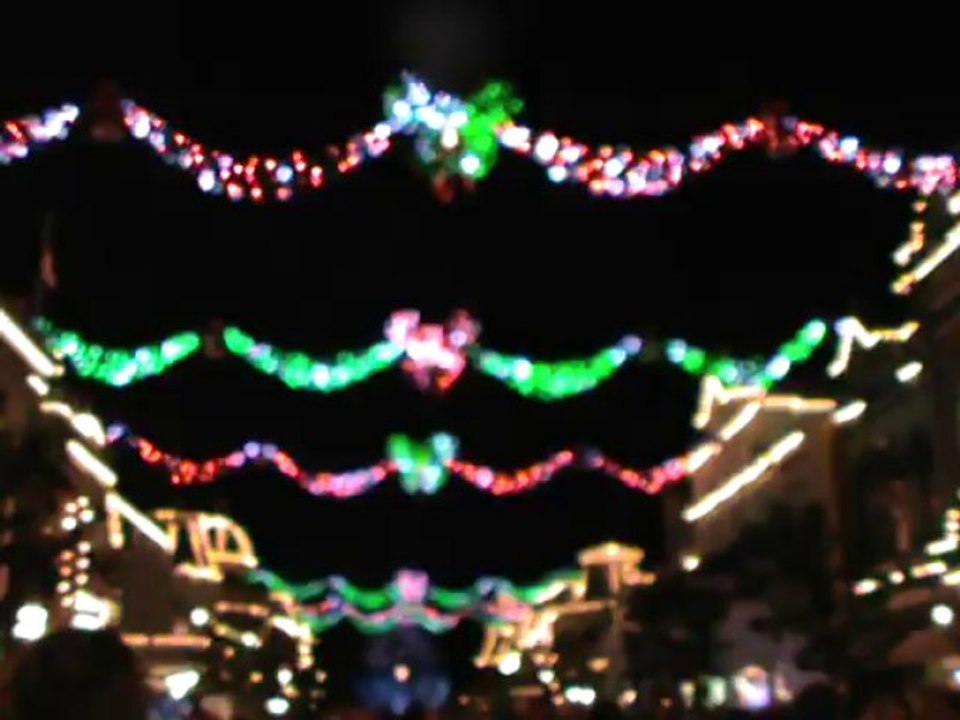 Disneyland Paris : Tree Lighting Ceremony 2013