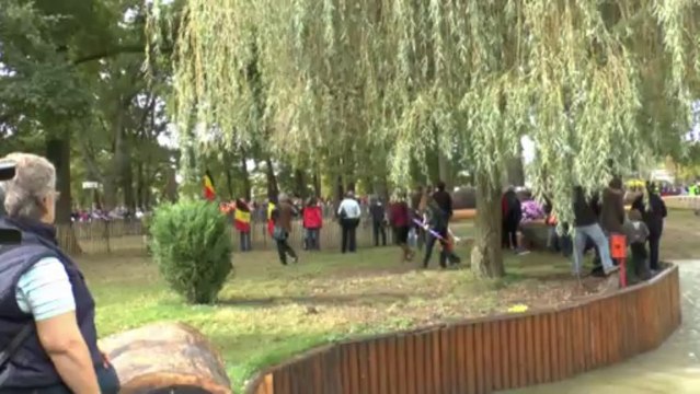 LES W-D.D. MICHOU NEWS - 2 NOVEMBRE 2013 - LE MARATHON DU CONCOURS MONDIAL D'ATTELAGE DE PAU.