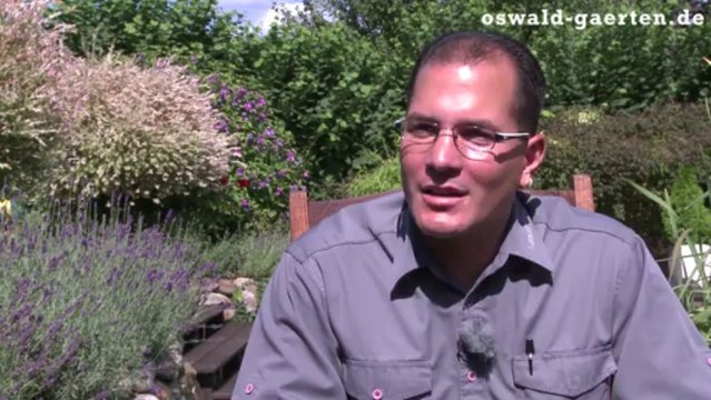 Gartengestaltung Kiel: Wohlfühlfaktor für den wichtigsten Ort Ihres Lebens