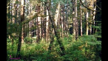 DIESEL Only The Brave Tattoo Туалетна Вода-Спрей