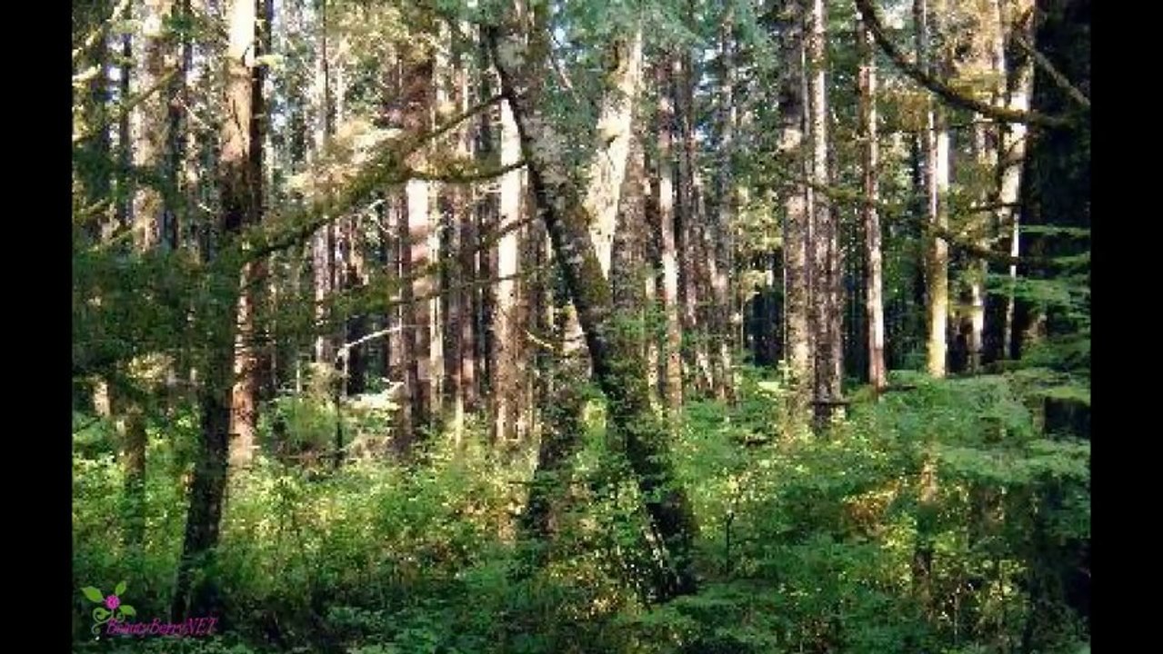 DIESEL Only The Brave Tattoo Туалетна Вода-Спрей