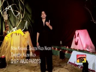 Sajjad Nahi Bhuly Ga, Saleem Raza Nagari 2013-14