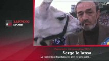 Zap' Sport : Serge le lama, nouvelle icône girondine