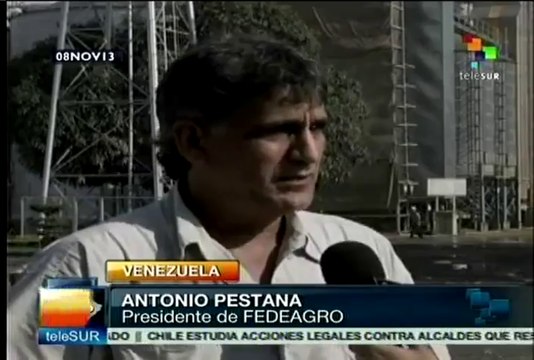 Edo. Portuguesa registró una de las mejores cosechas de maíz y arroz