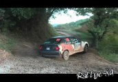 Rallye Terre de Vaucluse 2013