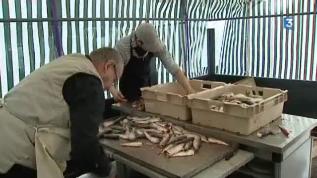 Dieppe : avant la foire aux harengs et à la coquille