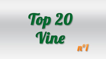 Top 20 Best Vines Video Week #1