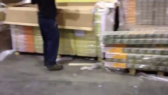 Plancher Bois Franc en Chêne Eraflé et Ciselé