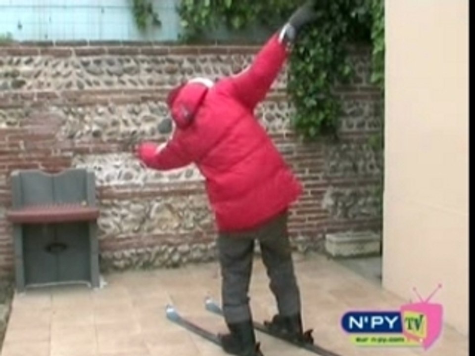 Ski Pyrenees : un probleme de perche!