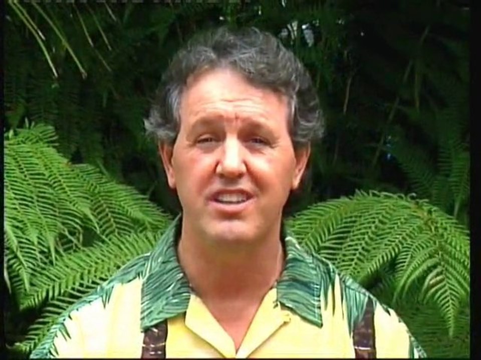 Waterfalls DVD Samples