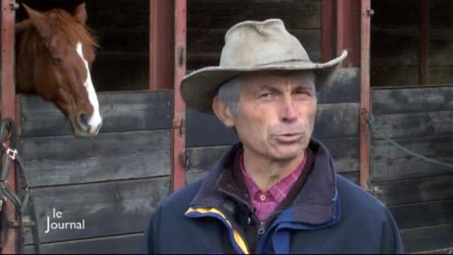 Hausse de TVA : les centres équestres inquiets (Vendée)