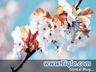 Bebek hırka modelleri