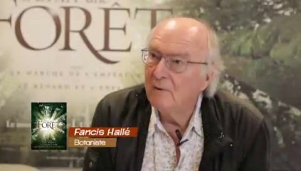 CI Né Ma - Emission 20