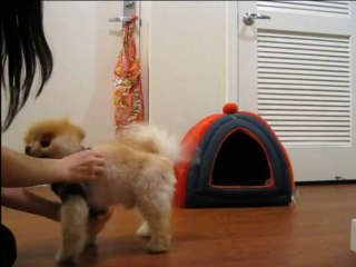 VIP카지노ＭＡＫＥ４１５.ＣＯＭ 태양성카지노