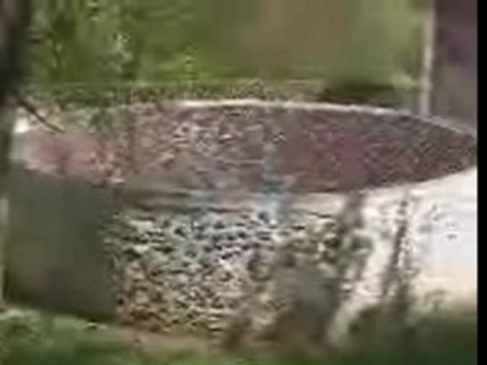 video_generique