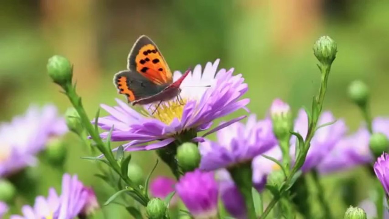 Meaning of Success from Jeffrey Slayter Success Coach