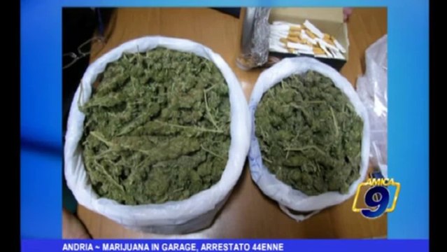 Andria | Marijuana in garage, arrestato 44enne