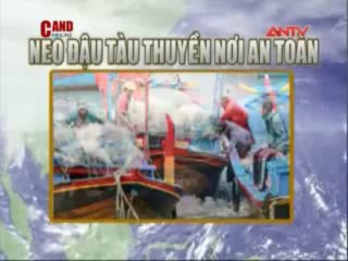 Một số hướng dẫn phòng tránh thiệt hại do bão lũ