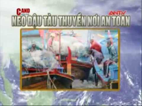 Một số hướng dẫn phòng tránh thiệt hại do bão lũ