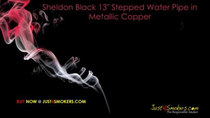 5 Best Sheldon Black Bongs
