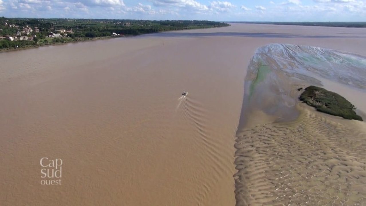 Estuaire de la Gironde d'îles en îles
