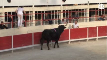 CC St Gilles - Trophée du Gland d'Or 11112013