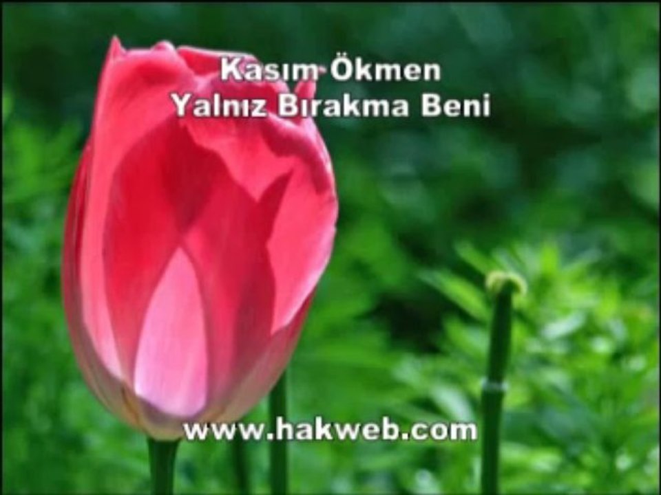 Kasım Ökmen - Yalnız Bırakma Beni - http___www.hakweb.com