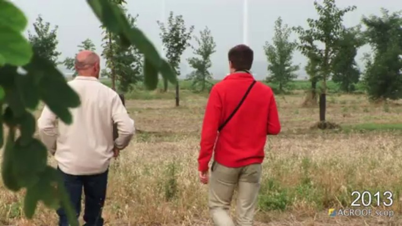 ITW 1 BRUNO HAGUET_agroforesterie 2013