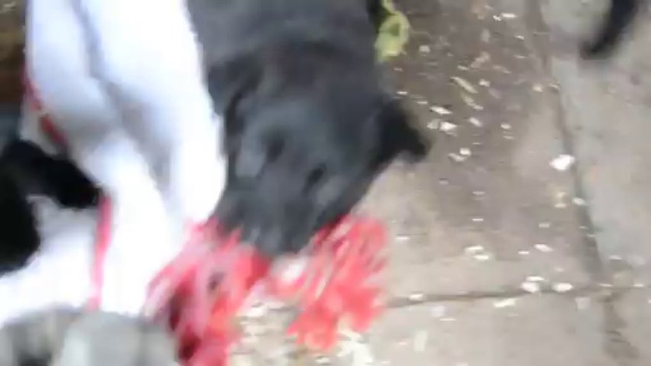 IKO the Horde of Angels