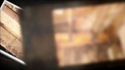 Mold Remediation LA - Absolute Maintenance & Consulting (310) 678-4345