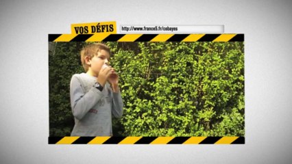 Les défis des internautes - Arthur, Robin, Salomé, Pierrick, Nathan et Solène