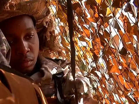 Война за носорогов в ЮАР набирает обороты