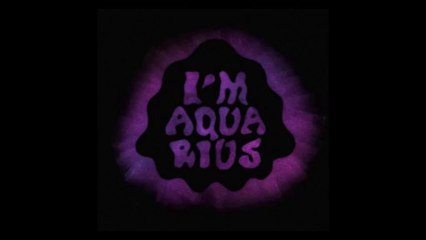 Metronomy - I'm Aquarius