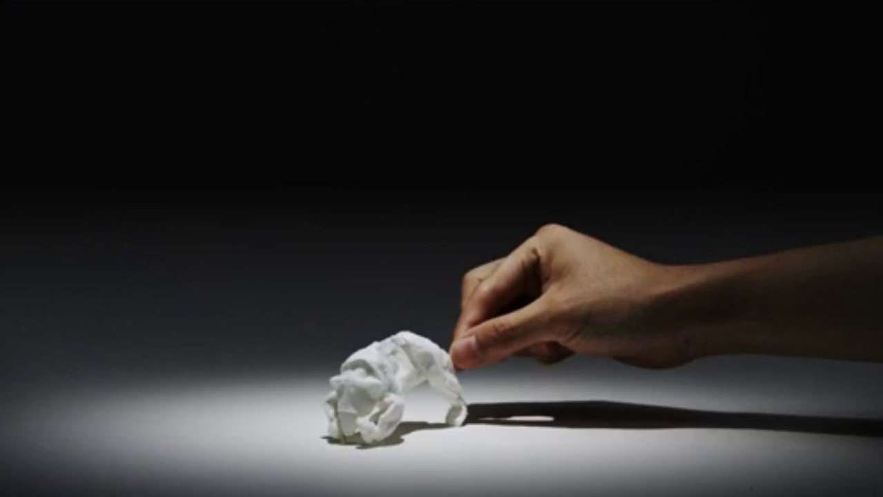 Tissue Animals