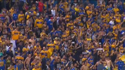 Tigres seal final day play-off berth