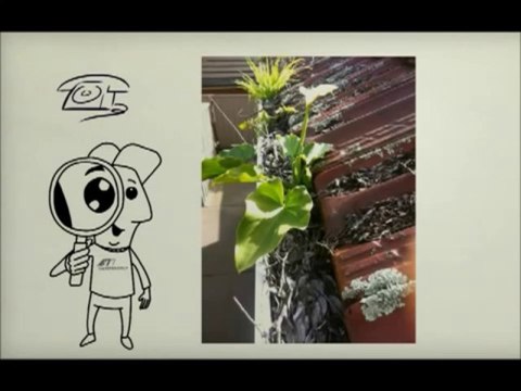 Gutter Cleaning Perth - 0449290393 Gutter Cleaning in the Perth Area